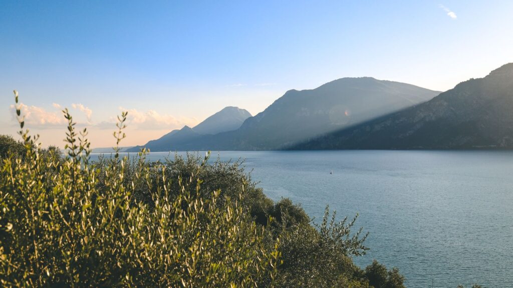 Why Do So Many People Search for a Hotel with Mediterranean Luxury on Lake Garda? Olive trees above Lake Garda at sunset with mountains across the water